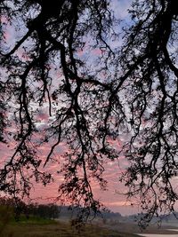 Silhouette trees by lake against sky during sunset