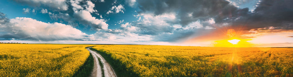 Scenic view of field against sky during sunset