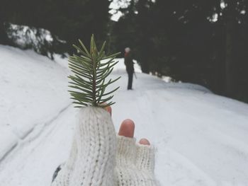 Woman holding pine needles