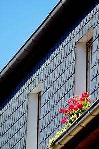 Low angle view of flowering plant by building against sky