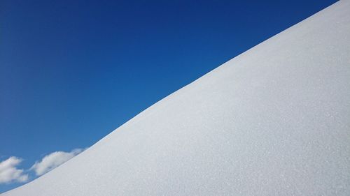 Low angle view of tree against blue sky