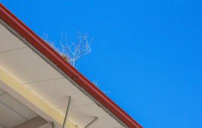 Low angle view of building against blue sky