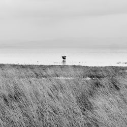 Scenic view of sea against sky with heron flying by. 