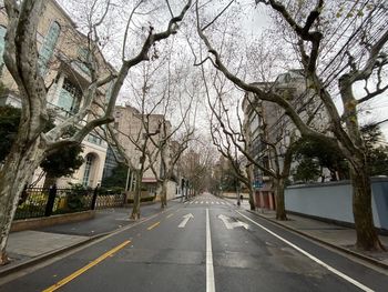 Road by trees in city