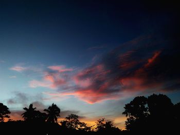 Low angle view of silhouette trees against sky