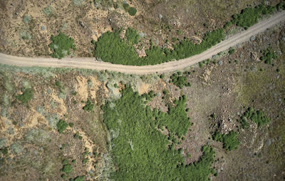 High angle view of road amidst trees on field