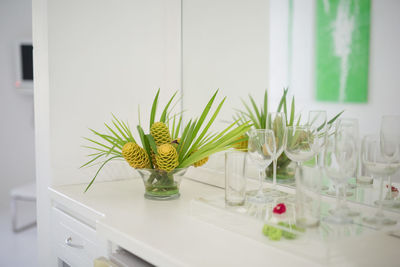 Potted plants on the wall