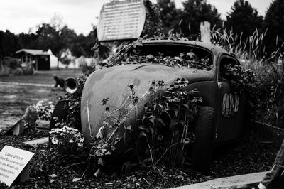 Abandoned car on field