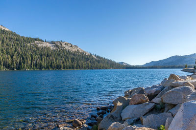 Scenic view of sea against clear blue sky