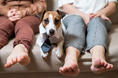 Low section of woman with dog sitting on floor