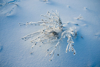 Beautiful winter landscapes in the valleys