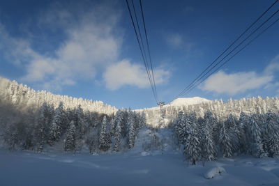 Snow covered land and trees against sky