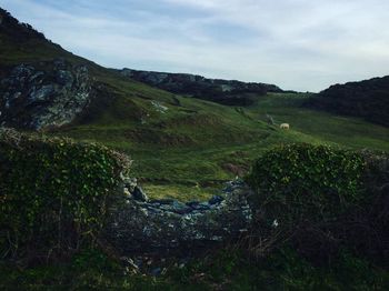 Scenic view of landscape against sky