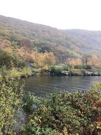 Scenic view of lake in forest against sky