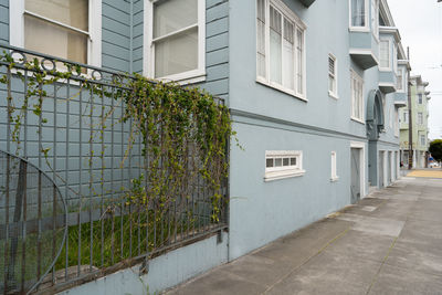 Plants growing outside building