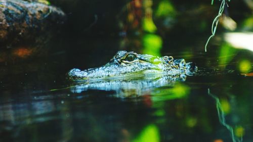 Close up of water