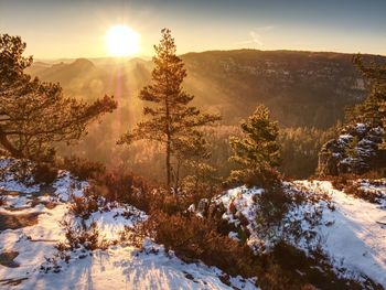 Morning view over sandstone formation into misty valley. fantastic dreamy sunrise on top of mountain