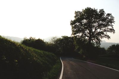 Road amidst trees against clear sky