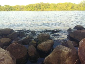 Surface level of river with trees in background