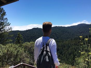 Rear view of backpack man standing at observation point against forest