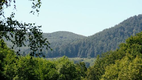 Scenic view of green landscape and mountains against clear sky