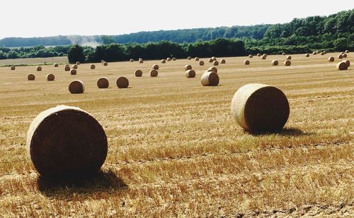 Hay bales on field against clear sky