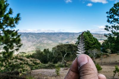 Close-up of hand holding tree against sky