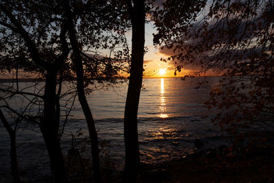 Silhouette trees by sea against sky during sunset