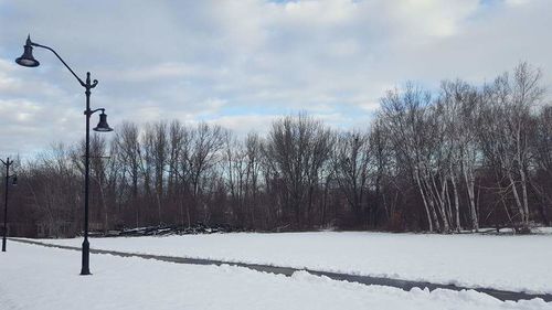 Bare trees on snow covered landscape against sky