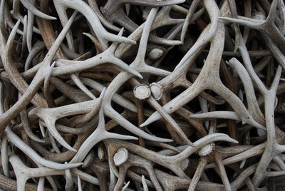Full frame shot of firewood