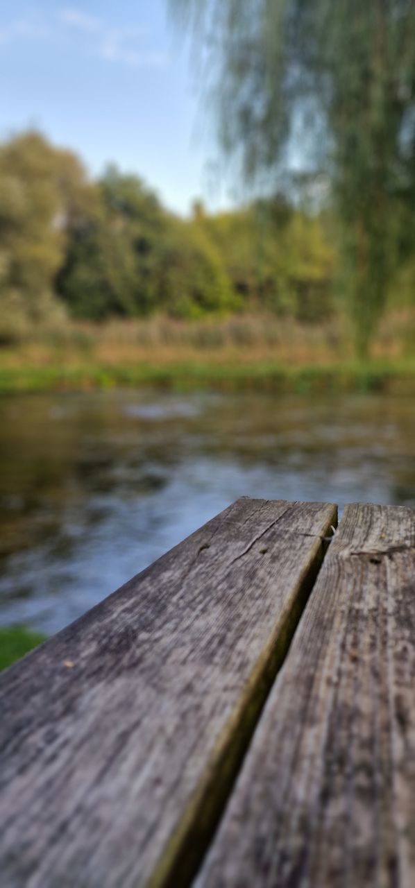 nature, water, no people, plant, sunlight, tree, wood, day, green, selective focus, reflection, outdoors, leaf, close-up, architecture, focus on foreground, beauty in nature, built structure, land, tranquility