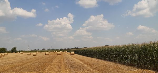 Panoramic view of agricultural field against sky