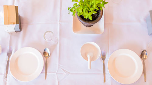 Close-up of food on table