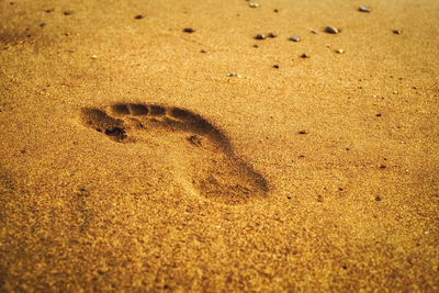 Footprint on a sandy beach