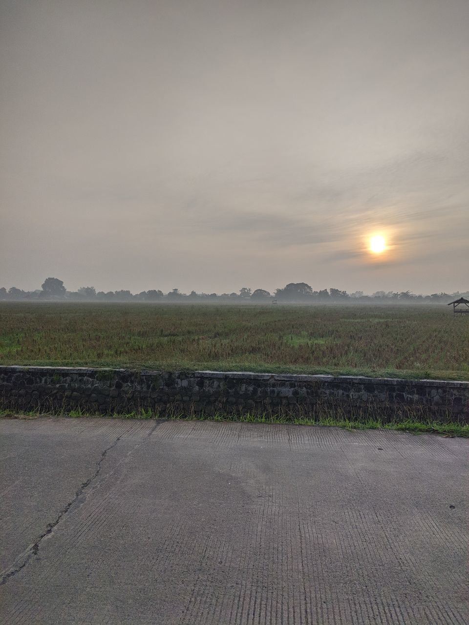 SCENIC VIEW OF FIELD DURING SUNSET