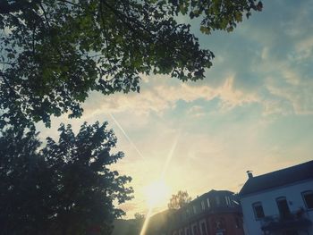 Low angle view of trees and building against sky