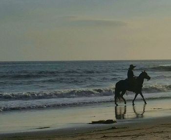 Silhouette man riding dog on beach against sky