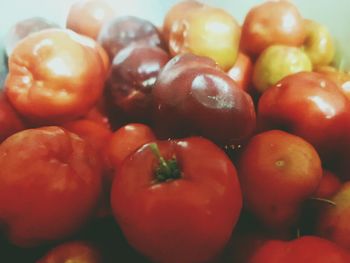 Close-up of tomatoes