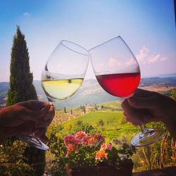 Man holding glass of wineglass against sky