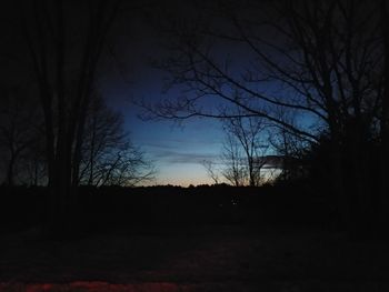 Silhouette bare trees against sky at night