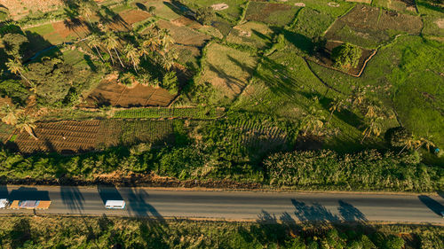 Aerial view of morogoro town