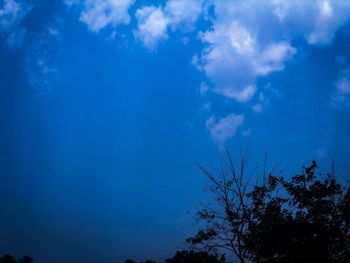 Low angle view of silhouette trees against blue sky