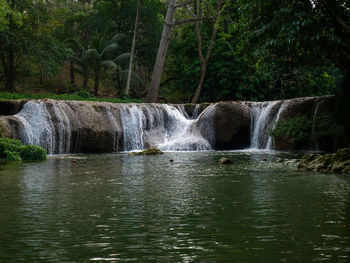 Scenic view of waterfall in forest