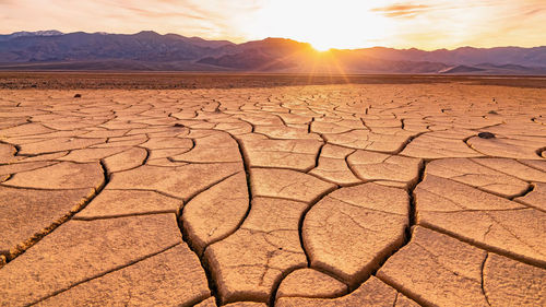 Close-up of barren landscape