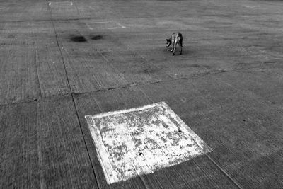 High angle view of men on floor