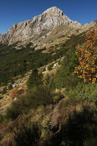 Scenic view of land and mountains against clear sky