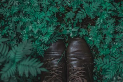 Low section of person standing by plants