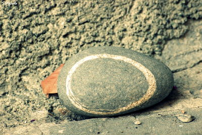 Close-up of stone on ground