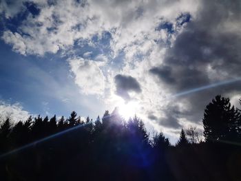 Low angle view of sunlight streaming through silhouette trees