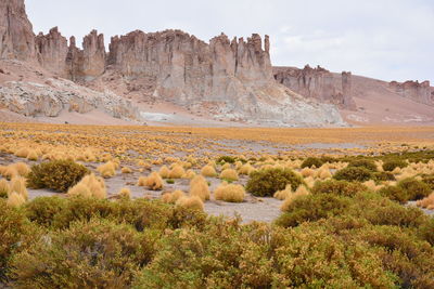 Scenic view of rock formations on landscape against sky